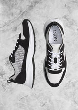 DR B25 Black & White